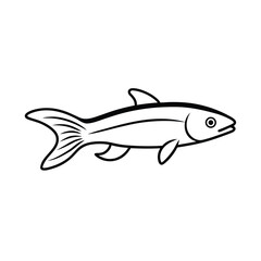 Fototapeta premium thin line vector art of a loach in side profile .eps