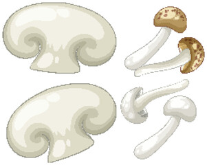 Vector Illustration of Various Mushrooms