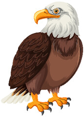 Bald Eagle Vector Illustration with Detailed Feathers