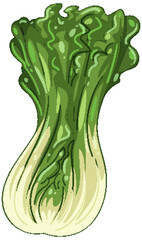 Vibrant Vector Illustration of Fresh Napa Cabbage