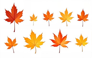 Fototapeta premium Collection autumn maple leaves isolated on white background. High quality