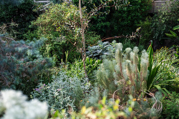 Cactus, palm trees, and tropical plants in a conservatory ecosystem.