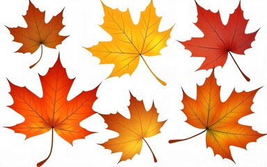 Obraz premium Autumn leaves set. High quality