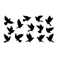 Obraz premium Black silhouettes of flying doves birds wings