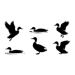 Duck silhouettes in various poses flying swimming