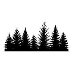 Evergreen forest silhouette evergreen trees pine trees