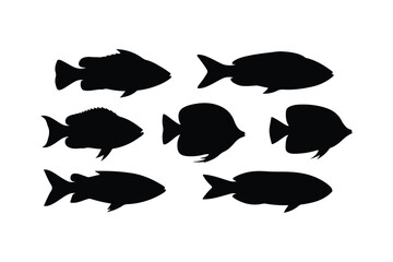 Seven Black Fish Silhouettes on White Background ocean