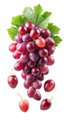 Fototapeta premium Red Grape with Leaves Isolated on White Background