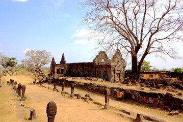 Ancient Wat Phou temple ruins in Laos with a dry tree under a bright blue sky