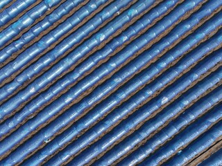 Land covered with plastic film. Seedlings are growing.