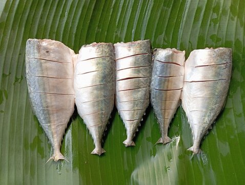 Cleaned mackerels for fish fry or grilling. Indian mackerels (Bigmouth Mackerels), head removed, slits on the body for marination, neatly displayed on a banana leaf, traditional Indian fish recipe.