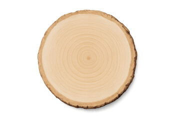Tree trunk cross section showing growth rings on transparent background