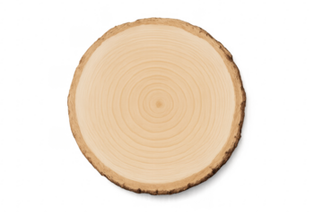 Tree trunk cross section showing growth rings on transparent background