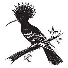 black eurasian hoopoe bird Silhouette Vector, High Quality Illustration on White Background