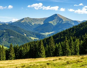 Alpine summer landscape with green valleys, snow-capped peaks, and a clear blue sky