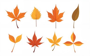 leaves autumn set, collection in flat design set isolated. High quality