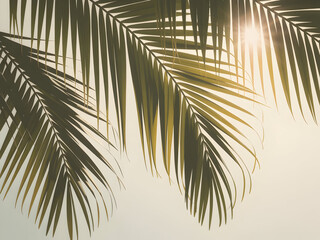 Obraz premium Photorealistic Image of Olive Green Palm Fronds Backlit by Bright Sunlight Against a Soft Beige Sky Detailed Closeup Showing Leaf Texture and Light Rays