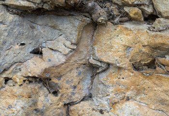 the structure of the rock surface in the section, quarrying in the natural environment, sunny day