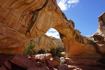 Arch
