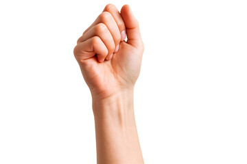 A raised fist symbolizing strength and determination, emphasizing empowerment.