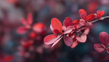 Close-up of a branch with vibrant red leaves, shallow depth of field, blurred background showcasing autumnal hues