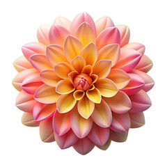 Fototapeta premium 3d vibrant dahlia flower isolated on transparent background