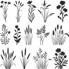 Wild Flower Silhouette, Botanical Flower Silhouette, Wildflower Vector, Floral Outline Design, Rustic Plant Silhouette