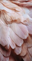 Obraz premium Close-up of soft, pale pink and peach bird feathers overlapping in a layered, textured pattern