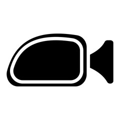 left rear view mirror