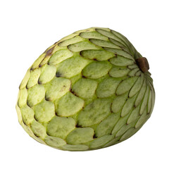 Fototapeta premium Artichoke isolated on a transparent background 