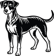 Vector art of black doberman dog silhouettes in different poses isolated on transparent background
