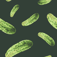 Watercolor cucumber seamless pattern. Fresh vegetable hand drawn illustration of prickly gherkin harvest. Clipart for vegetarian food fabric, kitchen wallpaper design on Isolated dark green background