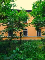 Yellow Building Hidden Among Green Trees and Foliage