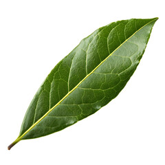 Obraz premium Green leaf isolated on a transparent background 