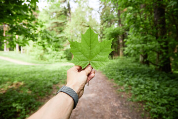 Person holding large green maple leaf in outstretched hand standing on forest path surrounded by...