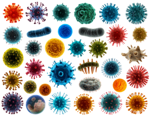 Collection of realistic microbes and virus cells isolated on transparent background PNG