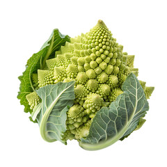 Cauliflower isolated on a transparent background
