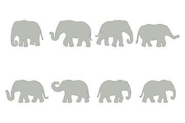 Elephant Silhouette Illustration Set Design