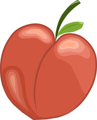 Vector illustration of peach Fruit with leave