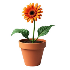 Fototapeta premium Vibrant orange gerbera daisy in terracotta pot against black background a charming floral display for home decor and gardening enthusiasts