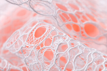 White lace with large oval openwork on soft pink background, evoking romance and elegance; ideal...