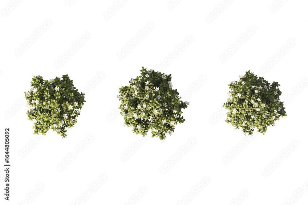 Aufkleber cut out realistic top view greenery trees collection on transparent backgrounds. high quality 3d ren