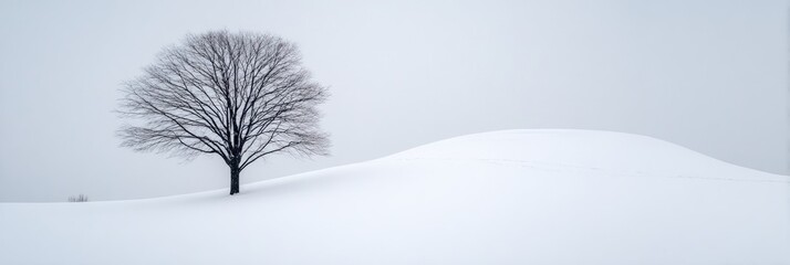 Bare tree on snowy hill