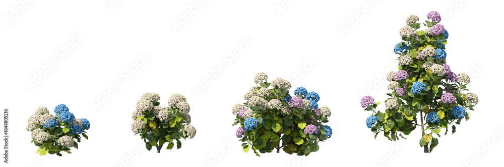 Aufkleber cut out realistic hydrangea collection perspective view on transparent backgrounds. high quality 3d 