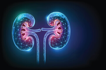 A digital medical illustration of human kidneys rendered in a futuristic, low-poly wireframe style with a glowing blue neon effect