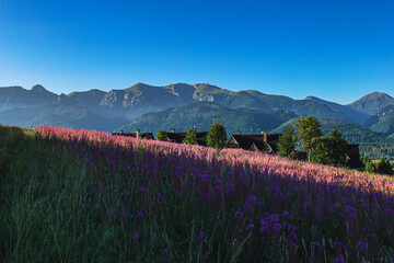 Widok na tatry z Kościeliska