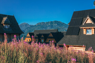 Widok na tatry z Kościeliska