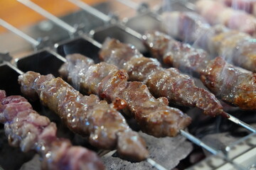 Grilled Lamb Skewers on a Charcoal Grill