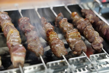 Grilled Lamb Skewers on a Charcoal Grill