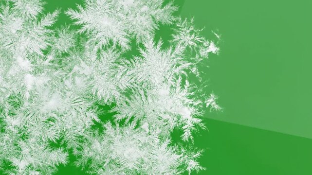White Snowflakes Falling Green Screen Winter Animation